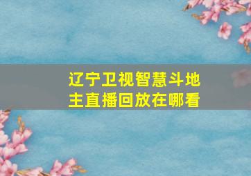 辽宁卫视智慧斗地主直播回放在哪看