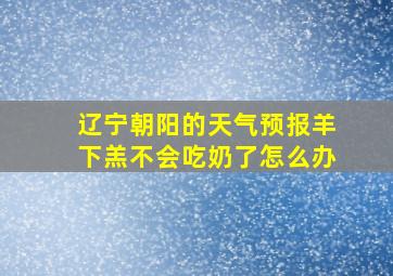 辽宁朝阳的天气预报羊下羔不会吃奶了怎么办