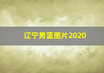 辽宁男篮图片2020