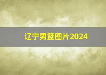 辽宁男篮图片2024