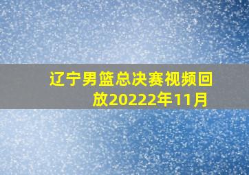 辽宁男篮总决赛视频回放20222年11月