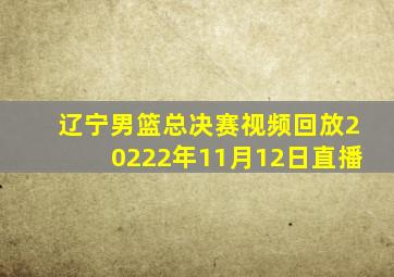 辽宁男篮总决赛视频回放20222年11月12日直播