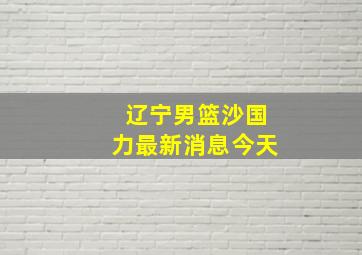 辽宁男篮沙国力最新消息今天