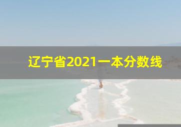 辽宁省2021一本分数线