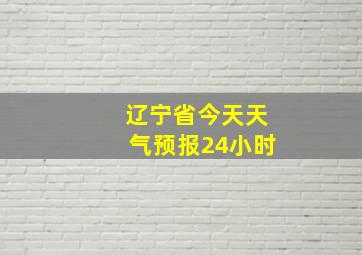 辽宁省今天天气预报24小时