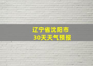 辽宁省沈阳市30天天气预报