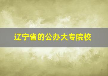 辽宁省的公办大专院校