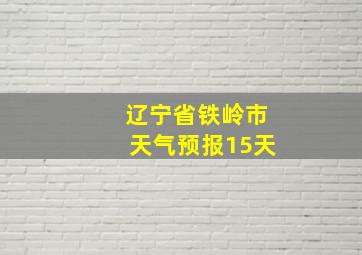 辽宁省铁岭市天气预报15天