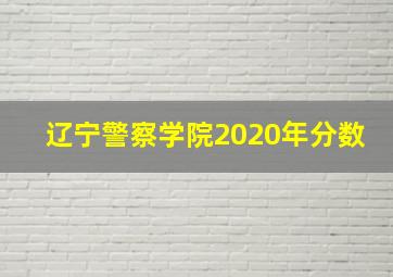 辽宁警察学院2020年分数