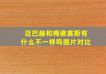 迈巴赫和梅德赛斯有什么不一样吗图片对比