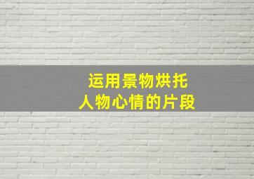 运用景物烘托人物心情的片段