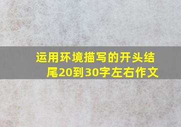 运用环境描写的开头结尾20到30字左右作文