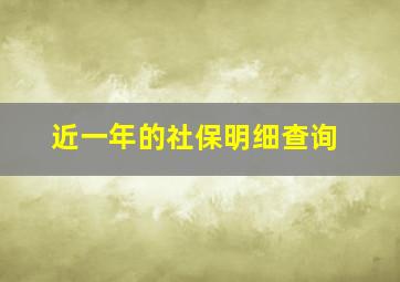 近一年的社保明细查询