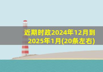 近期时政2024年12月到2025年1月(20条左右)