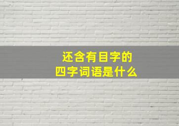 还含有目字的四字词语是什么