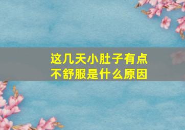 这几天小肚子有点不舒服是什么原因