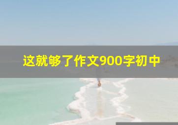 这就够了作文900字初中