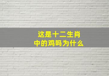 这是十二生肖中的鸡吗为什么