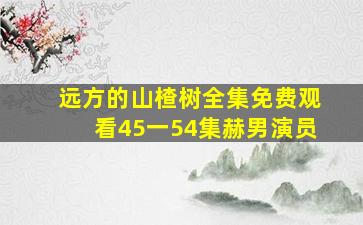 远方的山楂树全集免费观看45一54集赫男演员