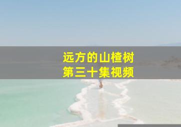 远方的山楂树第三十集视频