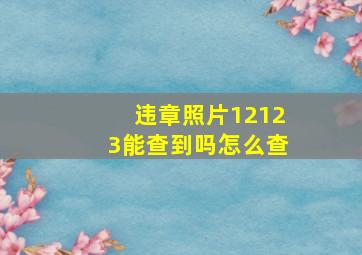 违章照片12123能查到吗怎么查