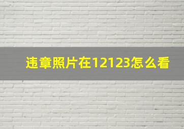 违章照片在12123怎么看