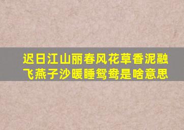 迟日江山丽春风花草香泥融飞燕子沙暖睡鸳鸯是啥意思