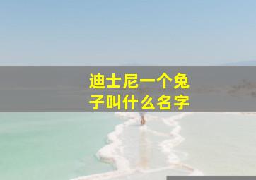 迪士尼一个兔子叫什么名字