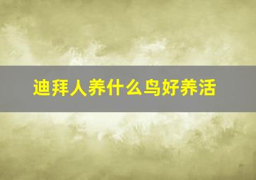 迪拜人养什么鸟好养活