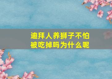 迪拜人养狮子不怕被吃掉吗为什么呢