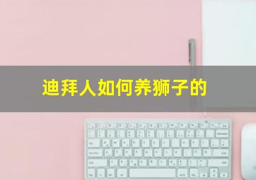 迪拜人如何养狮子的