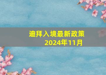 迪拜入境最新政策2024年11月