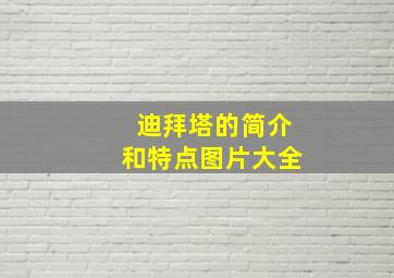 迪拜塔的简介和特点图片大全