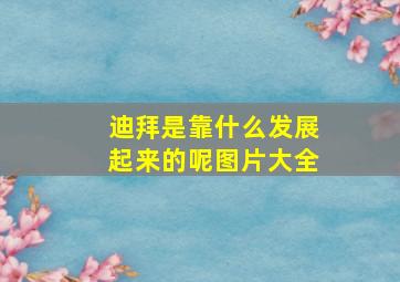 迪拜是靠什么发展起来的呢图片大全