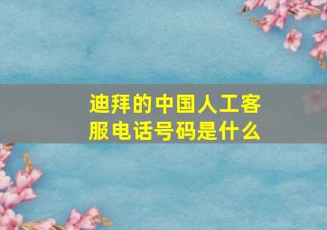 迪拜的中国人工客服电话号码是什么