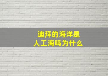 迪拜的海洋是人工海吗为什么