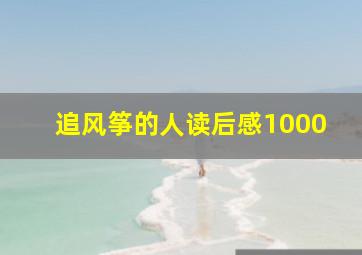 追风筝的人读后感1000