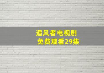 追风者电视剧免费观看29集