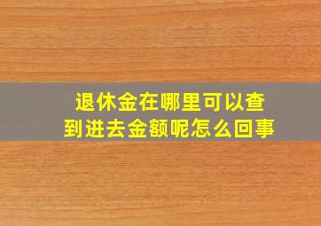 退休金在哪里可以查到进去金额呢怎么回事