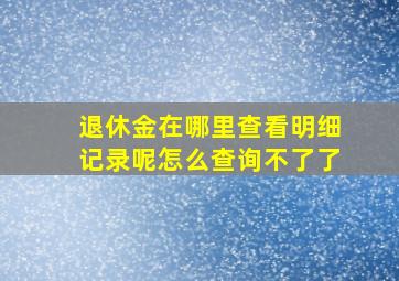 退休金在哪里查看明细记录呢怎么查询不了了