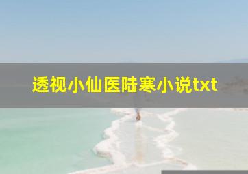 透视小仙医陆寒小说txt