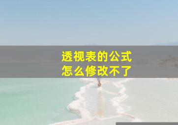 透视表的公式怎么修改不了