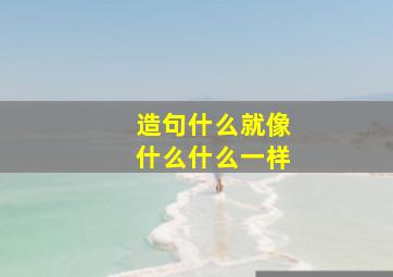 造句什么就像什么什么一样