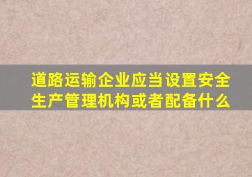 道路运输企业应当设置安全生产管理机构或者配备什么