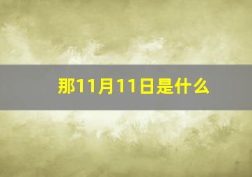 那11月11日是什么