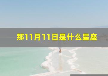 那11月11日是什么星座