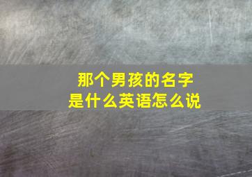 那个男孩的名字是什么英语怎么说