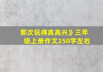 那次玩得真高兴》三年级上册作文250字左右