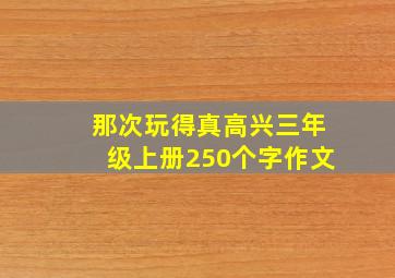 那次玩得真高兴三年级上册250个字作文