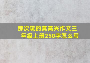 那次玩的真高兴作文三年级上册250字怎么写